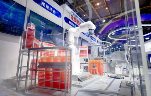 高新技术制造企业 新质生产力的开发与培育