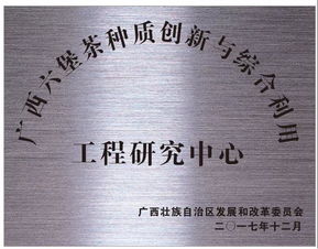 双星闪耀 创新驱动——广西梧州六堡茶股份荣获科技创新突出贡献与文化品牌建设双料殊荣