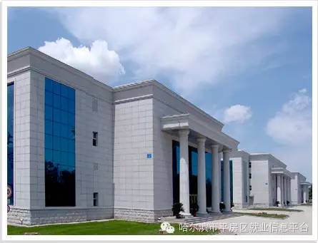 携手哈尔滨维科生物技术开发公司，共创技术转让新篇章