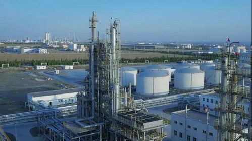 砥砺奋进五年间 奎屯—独山子经济技术开发区荣获两项国家级殊荣，技术转让成果显著